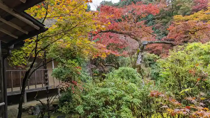 実相院門跡(京都府)