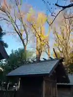 富岡八幡宮(東京都)