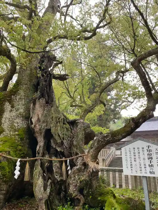 大山祇神社(愛媛県)