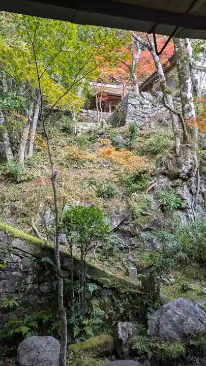 西明寺(京都府)