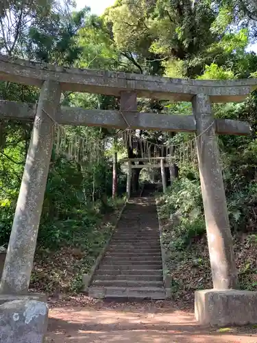 白幡大神の鳥居