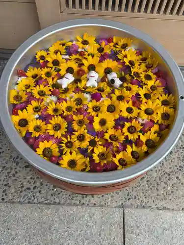 御井神社(岐阜県)