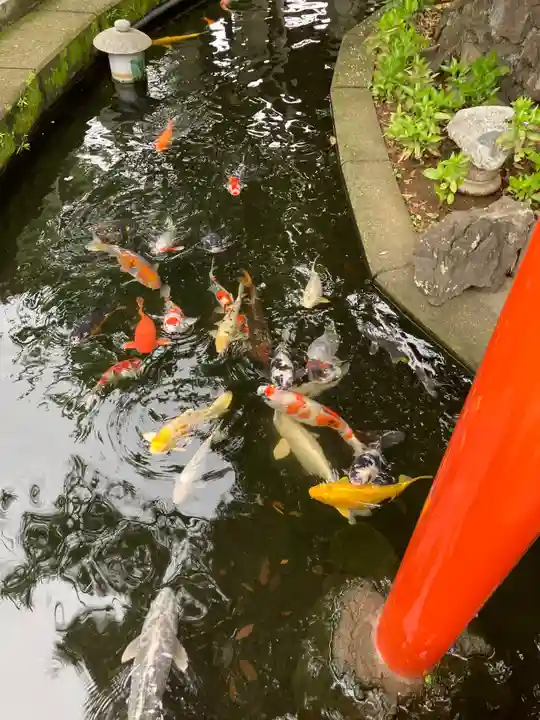 相模国総社六所神社(神奈川県)