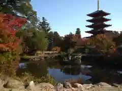 成相寺の庭園