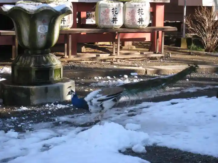 楽法寺(雨引観音)(茨城県)