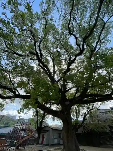菅原神社(長崎県)