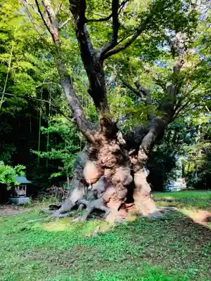 八柱神社(茨城県)