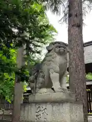 帯広三吉神社の狛犬