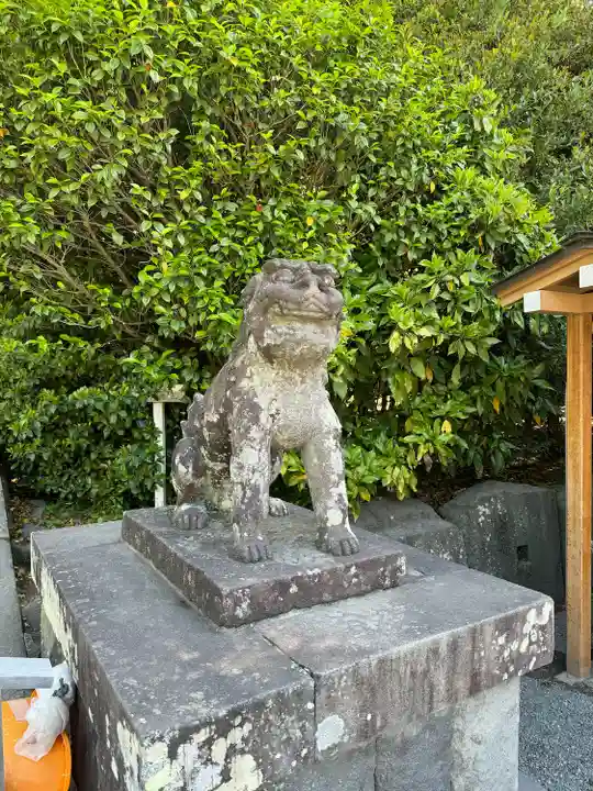 鶴岡八幡宮の狛犬