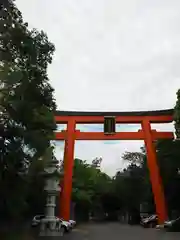 大麻比古神社の鳥居