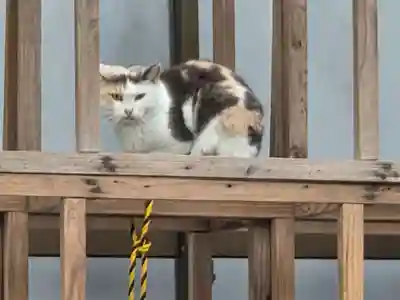 若宮神社(鹿児島県)
