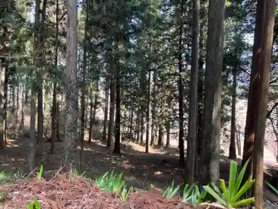 大宮温泉神社(栃木県)