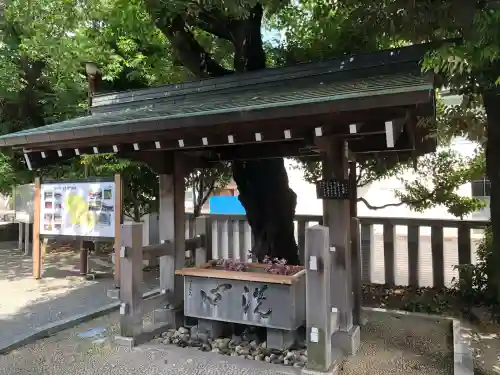 伊勢原大神宮の{uncategorized: "未分類", other: "その他", undefined: "問題あり", building: "その他建物", grave: "お墓", sacred_gate: "鳥居", guardian: "狛犬", statue: "像", buddha: "仏像", history: "歴史", nature: "自然", garden: "庭園", animal: "動物", pagoda: "塔", temizu: "手水舎", mountain_gate: "山門・神門", sanctuary: "本殿・本堂", subordinate: "末社・摂社", art: "芸術", scenery: "景色", jizo: "地蔵", ema: "絵馬", goshuin: "御朱印", omikuji: "おみくじ", items: "授与品その他", amulet: "お守り", goshuincho: "御朱印帳", eats: "食事", festival: "お祭り", votive_dance: "神楽", shichigosan: "七五三参", wedding: "結婚式", experience: "体験その他", initially: "初詣", around: "周辺", anti_infection: "感染症対策"}