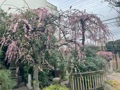 常泉寺(東京都)