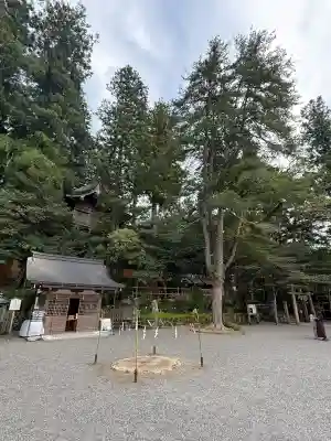 天河大辨財天社(奈良県)