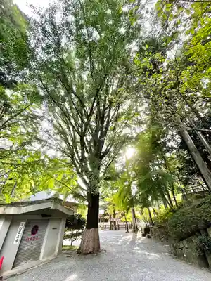 播州清水寺(兵庫県)