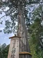 北口本宮冨士浅間神社の{uncategorized: "未分類", other: "その他", undefined: "問題あり", building: "その他建物", grave: "お墓", sacred_gate: "鳥居", guardian: "狛犬", statue: "像", buddha: "仏像", history: "歴史", nature: "自然", garden: "庭園", animal: "動物", pagoda: "塔", temizu: "手水舎", mountain_gate: "山門・神門", sanctuary: "本殿・本堂", subordinate: "末社・摂社", art: "芸術", scenery: "景色", jizo: "地蔵", ema: "絵馬", goshuin: "御朱印", omikuji: "おみくじ", items: "授与品その他", amulet: "お守り", goshuincho: "御朱印帳", eats: "食事", festival: "お祭り", votive_dance: "神楽", shichigosan: "七五三参", wedding: "結婚式", experience: "体験その他", initially: "初詣", around: "周辺", anti_infection: "感染症対策"}