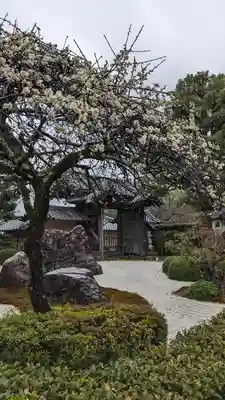 正法寺(京都府)