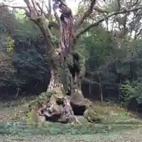 武雄神社(佐賀県)