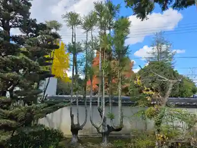 慈眼院(大阪府)