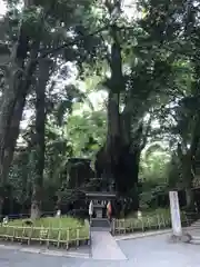 來宮神社の建物その他