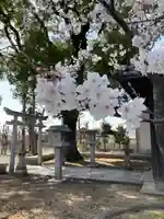 口里大歳神社(兵庫県)