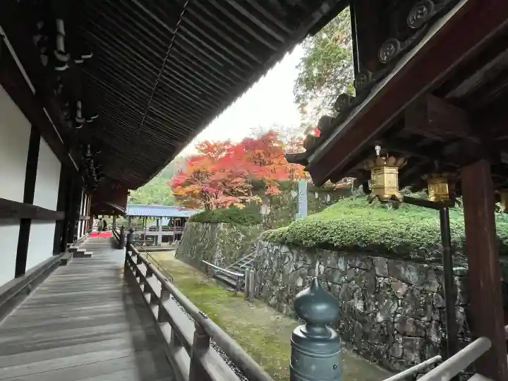 光明寺(粟生光明寺)(京都府)