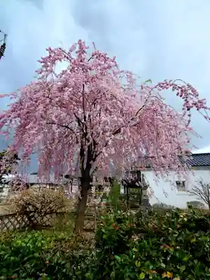 千用寺(福島県)