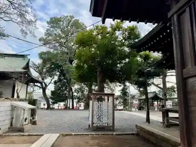八幡神社の{uncategorized: "未分類", other: "その他", undefined: "問題あり", building: "その他建物", grave: "お墓", sacred_gate: "鳥居", guardian: "狛犬", statue: "像", buddha: "仏像", history: "歴史", nature: "自然", garden: "庭園", animal: "動物", pagoda: "塔", temizu: "手水舎", mountain_gate: "山門・神門", sanctuary: "本殿・本堂", subordinate: "末社・摂社", art: "芸術", scenery: "景色", jizo: "地蔵", ema: "絵馬", goshuin: "御朱印", omikuji: "おみくじ", items: "授与品その他", amulet: "お守り", goshuincho: "御朱印帳", eats: "食事", festival: "お祭り", votive_dance: "神楽", shichigosan: "七五三参", wedding: "結婚式", experience: "体験その他", initially: "初詣", around: "周辺", anti_infection: "感染症対策"}