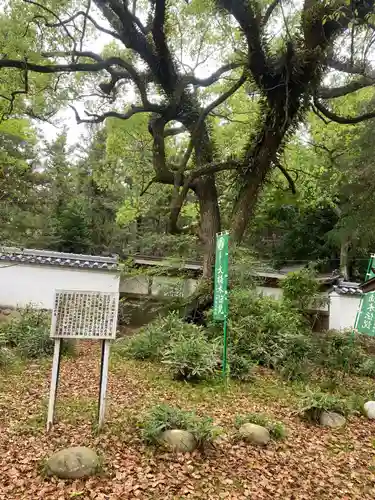 賀茂神社(愛知県)