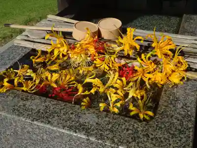 横浜 西方寺の手水舎