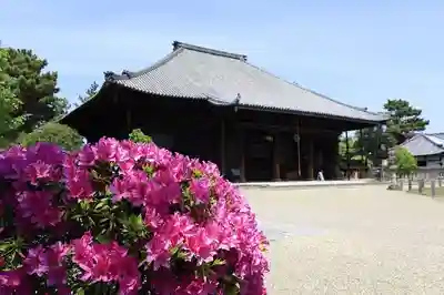 西大寺(奈良県)