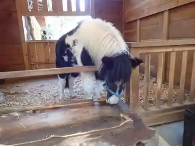 平塚八幡宮(神奈川県)