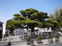 日保見山八幡宮の自然