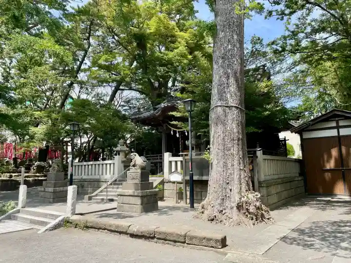 亀岡八幡宮(亀岡八幡神社)(神奈川県)