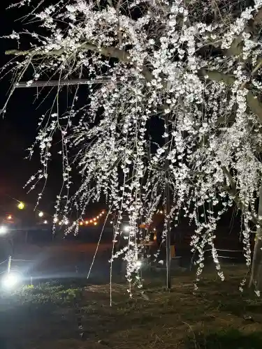 八幡社の{uncategorized: "未分類", other: "その他", undefined: "問題あり", building: "その他建物", grave: "お墓", sacred_gate: "鳥居", guardian: "狛犬", statue: "像", buddha: "仏像", history: "歴史", nature: "自然", garden: "庭園", animal: "動物", pagoda: "塔", temizu: "手水舎", mountain_gate: "山門・神門", sanctuary: "本殿・本堂", subordinate: "末社・摂社", art: "芸術", scenery: "景色", jizo: "地蔵", ema: "絵馬", goshuin: "御朱印", omikuji: "おみくじ", items: "授与品その他", amulet: "お守り", goshuincho: "御朱印帳", eats: "食事", festival: "お祭り", votive_dance: "神楽", shichigosan: "七五三参", wedding: "結婚式", experience: "体験その他", initially: "初詣", around: "周辺", anti_infection: "感染症対策"}