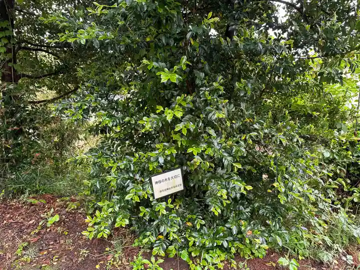 島名神社(群馬県)