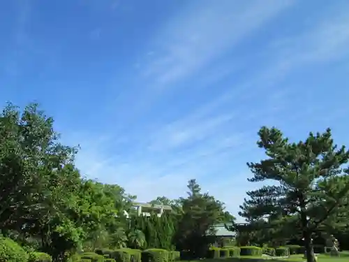 屋久島大社の自然