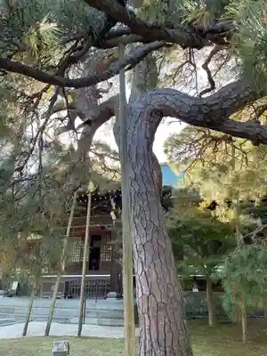 東漸寺(千葉県)