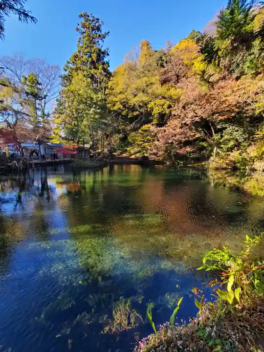 磯山弁財天(栃木県)