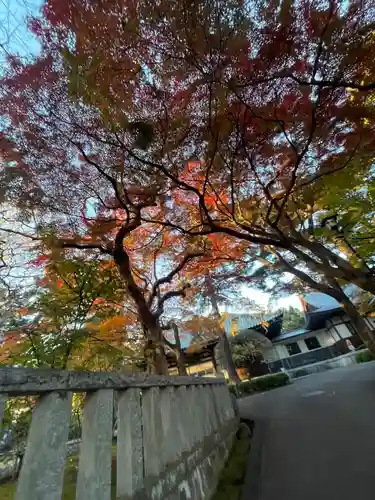 三寳寺(東京都)
