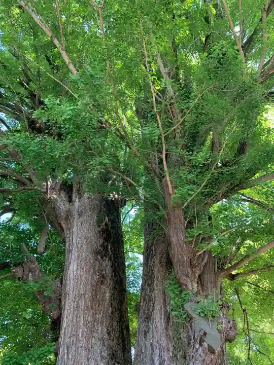 鑁阿寺(栃木県)