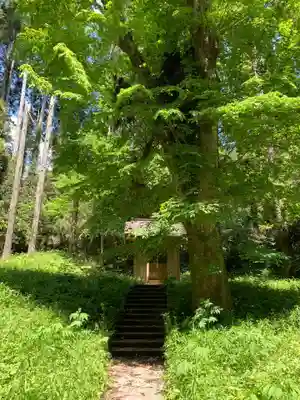 天満神社(千葉県)