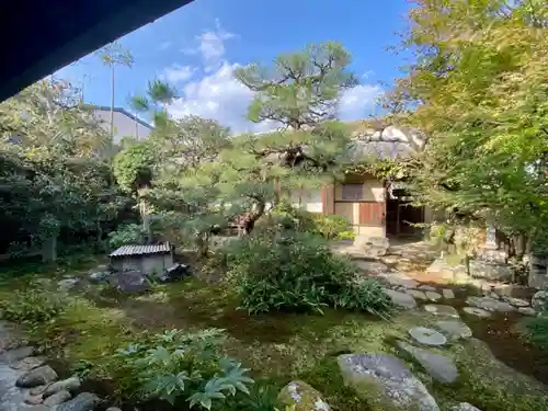 金臺寺（金台寺）の庭園