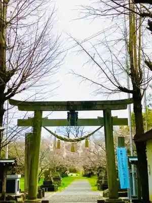 金村別雷神社(茨城県)