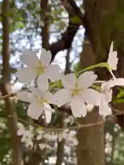 崇禅寺の自然