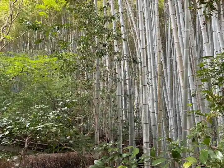 祇王寺(京都府)