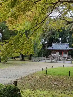 醍醐寺(京都府)