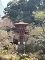 浄瑠璃寺(京都府)
