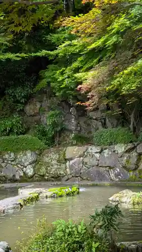 善峯寺(京都府)